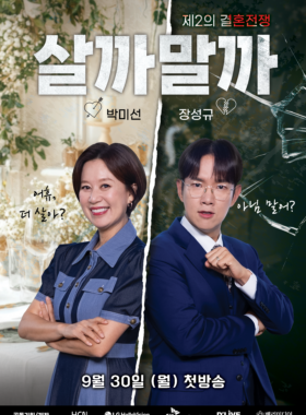 제2의 결혼전쟁 살까말까