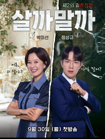 제2의 결혼전쟁 살까말까